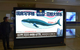 選擇投放高鐵燈箱廣告的理由是啥？