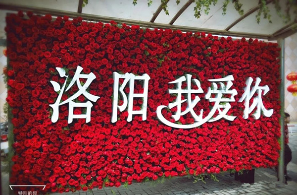 洛陽公交站牌廣告 洛陽公交站牌廣告