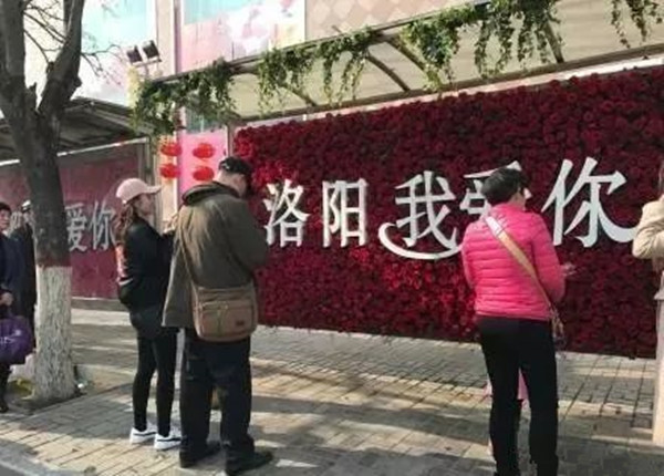 洛陽公交站牌廣告 洛陽公交站牌廣告