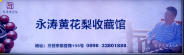 三亞鳳凰機場廣告有哪些媒體形式?