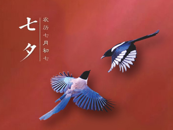 七夕節(jié)，你秀恩愛了嗎?