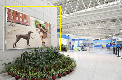 青島機(jī)場國際出發(fā)區(qū)燈箱廣告 青島機(jī)場國際出發(fā)區(qū)燈箱廣告