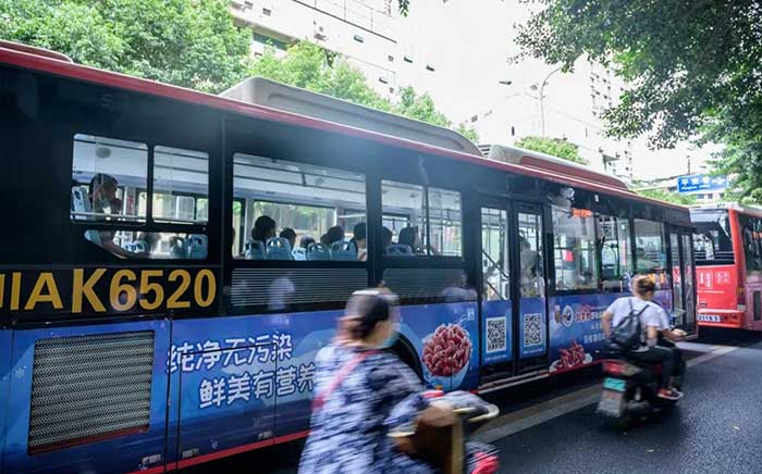 北極蝦成都公交車廣告05
