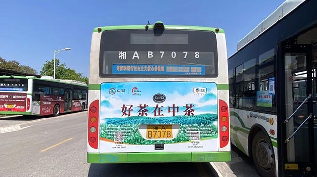 中茶長(zhǎng)沙公交車(chē)廣告3