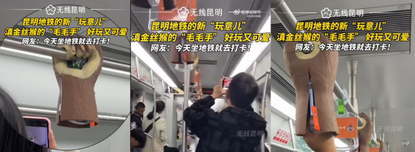 廣告有價(jià)創(chuàng)意無價(jià)！昆明地鐵拉手廣告爪子戴手套特產(chǎn)貓哆哩案例