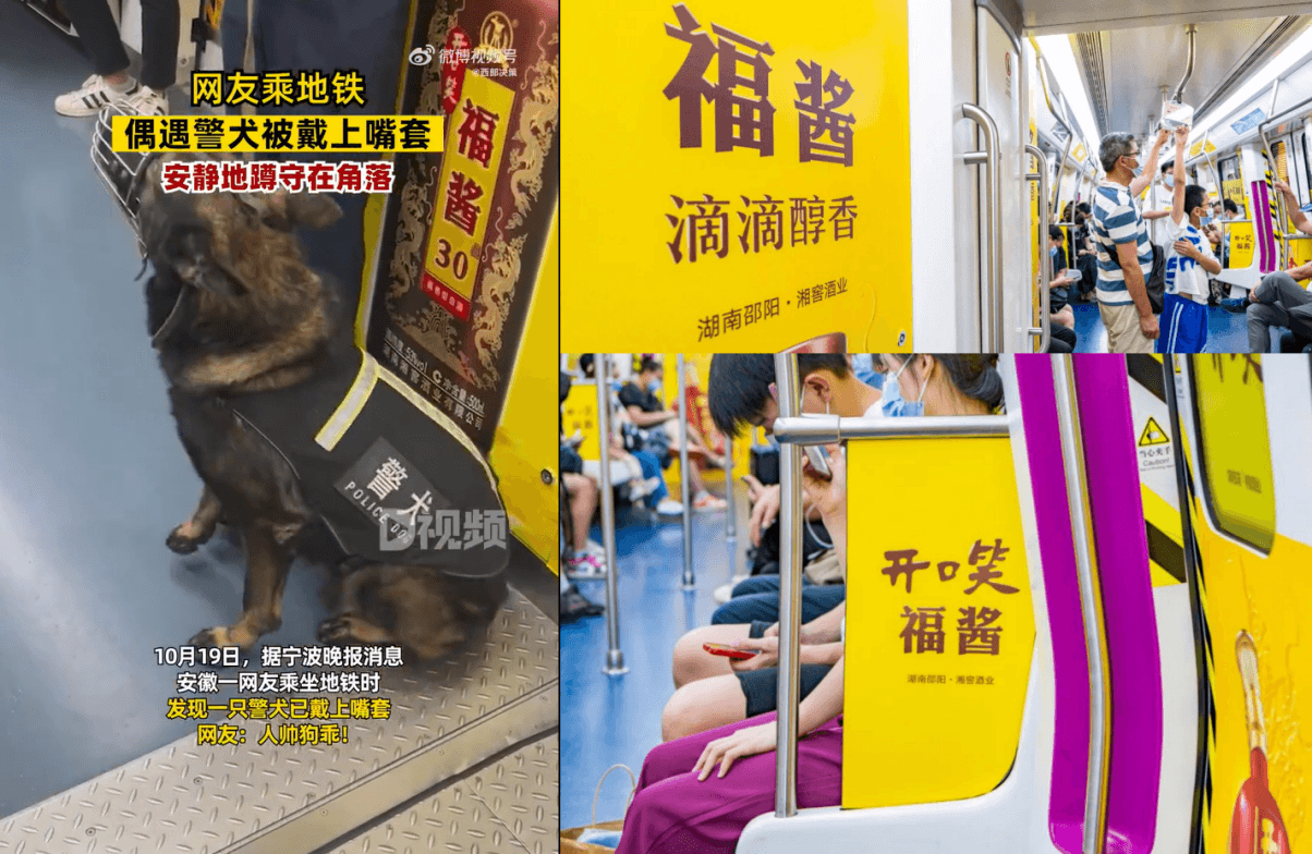 長沙地鐵廣告價(jià)格多少錢？長沙地鐵列車內(nèi)包車廣告全線覆蓋酒案例