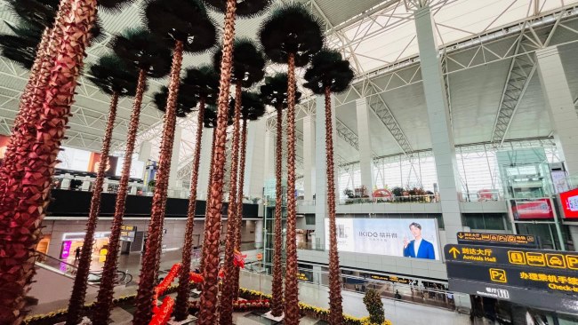 廣州機(jī)場(chǎng)出發(fā)值機(jī)大廳熱門廣告位案例，廣州白云機(jī)場(chǎng)廣告價(jià)格收費(fèi)