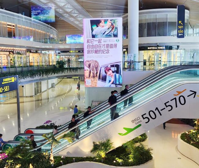 深圳寶安機場衛(wèi)星廳安檢口LED大屏廣告價格，深圳機場T3大屏廣告牌