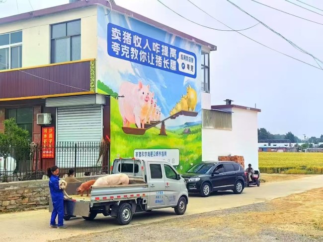 如何結(jié)合方言和文化元素設(shè)計(jì)刷墻廣告？