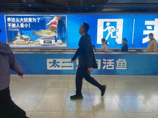 太二酸菜魚(yú)-深圳地鐵廣告