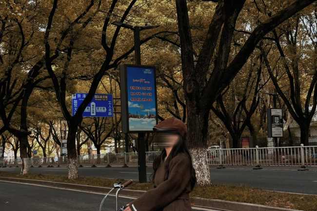 第一戶外傳媒-義烏路燈桿燈箱廣告